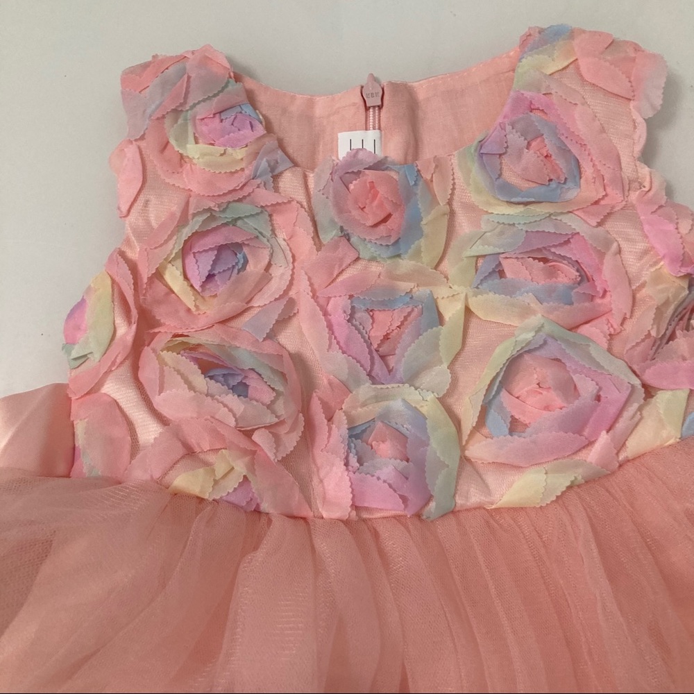 Luxury Embroidered Flower Girl Piano Dress Princess Birthday Wedding 5055 - Picture 16 of 16